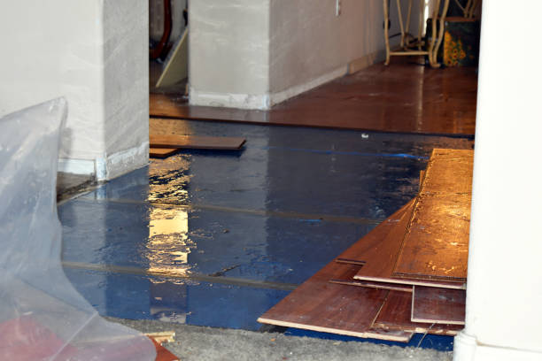 Professional Water Damage Restoration technician working in Lawrenceville, IL